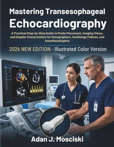 Perioperative Two-Dimensional Transesophageal Echocardiography: A
