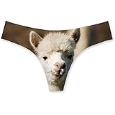 Allhaitong Funny Underwear Women Sexy Breathable High Cut Panties Low Rise Cheeky Hipster S-3XL