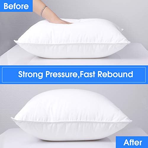 HOMEIDEAS Throw Pillow Inserts 20x20 Inch 100 Cotton Couch Pillow