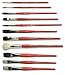 MASTER BRUSH SET GARY JENKINS PIGMENT POWER