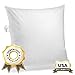 Decorative Throw Pillow Insert, Down and Feathers Fill, 100% Cotton Cover 233 Thread Count, Square Pillow Insert - Made in USA (20