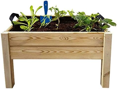 Kit de cultivo Leo Hortalia: Amazon.es: Jardín