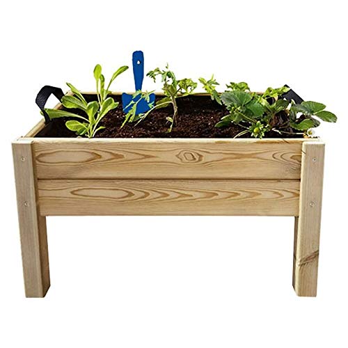 Kit de cultivo Leo Hortalia: Amazon.es: Jardín