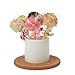 Cake Pop Treat Bag Set, 100 PCS White Lollipop Treat Sticks, 100 Pieces Lollipop Parcel Bags, 100 PCS Metallic Twist Ties, Candy Making Sucker Sticks 6 Inch for Candy,Cake Pop