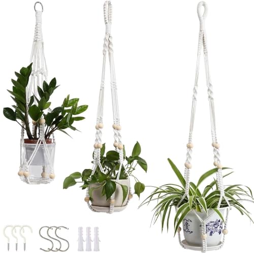 Macrame Plant Hanger