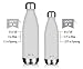 MIRA Stainless Steel Vacuum Insulated Water Bottle | Leak-proof Double Walled Cola Shape Bottle | Keeps Drinks Cold for 24 hours & Hot for 12 hours (Light Gray, 17 oz (500 ml, 0.53 qt))