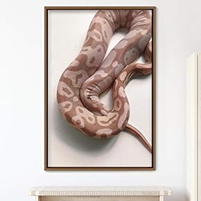 signwin Framed Canvas Wall Art Snake Contemporary Dramatic...