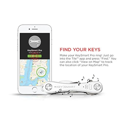 Office Products, Office & School Supplies, Forms, Recordkeeping & Money Handling, Key Tags & Chains