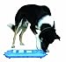 Nina Ottosson DogCasino Interactive game