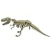 winemana Dinosaur Science Kit Dinosaur Fossil Digging Kit for Kids (A)