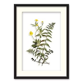 Black Paper Framed Canvas Wall Art for Living Room, Bedroom Simple Beautiful Leaves Canvas Prints for Home Decoration Ready to Hanging - 23x31 inches