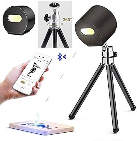 Compact Laser Engraver, Home Desktop Engraving Machine,Mini Handheld Etcher Printer Cutter Printer with Protective Goggles for DIY Logo Design Black