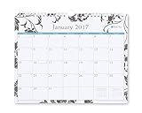 Blue Sky Barcelona 11 x 8.75 Monthly Wall Calendar, 2017