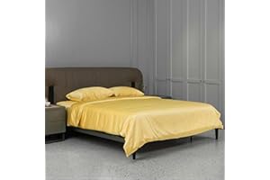 CloverSilk 22 Momme Silk Duvet Cover, 100% Mulberry Silk Comforter Quilt Cover with Zipper Closure, Ultra Soft, Durable, 1pc Duvet Cover Only - Twin Size, Champagne