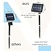 100LED 33FT Solar String lights for Garden, Patio, Yard, Home, Christmas Tree GIGALUMI Solar Lights Outdoor Solar Christmas Lights