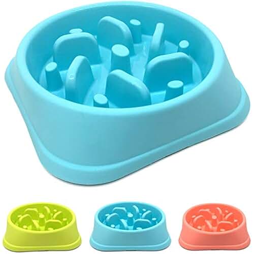 puzzle food bowl for dogs