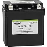 BikeMaster Lithium Ion Battery DLFP-30L-BS