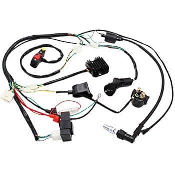 Amazon.com: ULTIMA 18-533 COMPLETE PLUS ELECTRONIC WIRING SYSTEM FOR