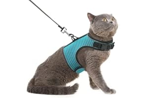PUPTECK Soft Mesh Cat Vest Harness and Leash Set Puppy Padded Pet Harnesses Escape Proof for Cats Small Dogs (Large, Lake Blue)