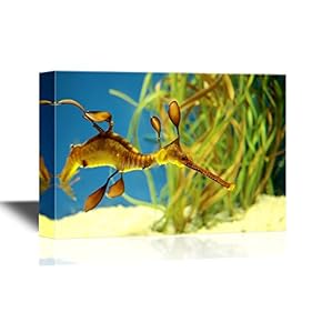 Canvas Wall Art - Sea Horse Swimming Along The Sea Bed - Gallery Wrap Modern Home Art | Ready to Hang - 12x18 inches