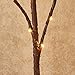 Hairui Lighted Brown Twig Branches Plug in with Dimmer and Timer 30IN 150 LED Fairy Lights, Lighted Willow Branches for Indoor Outdoor Spring Christmas Room Wedding Decoration (Vase Excluded)