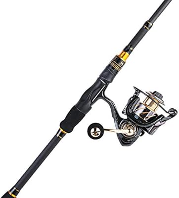 13 rod and reel combo