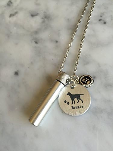 Pet Cremation Necklace, Ashes Holder, Memorial Necklace, Silver Cremation Locket, Pet Urn, Urn Necklace, Pet Necklace, Pet Memorial