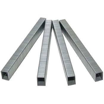 B&C Eagle 22 Gauge Galvanized Staples – 1/2-Inch Crown, 10,000 Per Box, Fits Porter Cable, DeWalt & More
