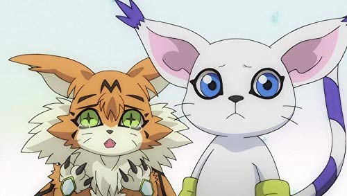 Amazon Com Digimon Adventure Tri Chapter 6 Our Future Movies Tv
