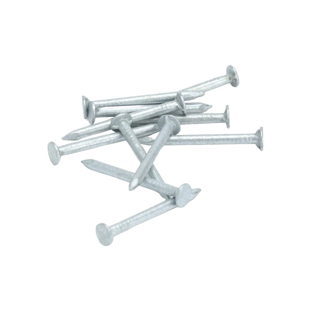 Galvanised Round Wire Nails - 30mm Length (Pack of 170)
