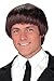 60S Band Member Brown Wig