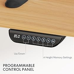 FLEXISPOT E6 Dual Motor 3 Stages Standing Desk