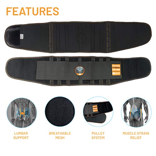 Lumbar Support Belt I Lower Back Brace by Everyday Medical I Targeted Lower Back Pain Relief for Back Spasms, Sciatica, Weight Lifting Waist Gym Belt for Sports I for Men and Women I Small/Medium