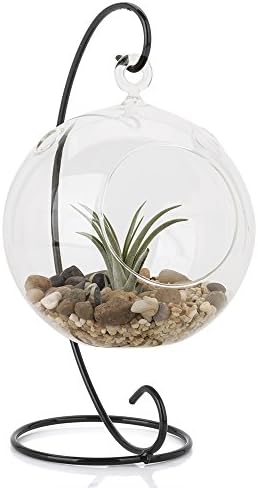 Charming Clear Glass Globe Hanging Planter Terrarium / Tea Light Candle Holder Lantern w/ Black Stand for Indoor and Outdoor Use (large)