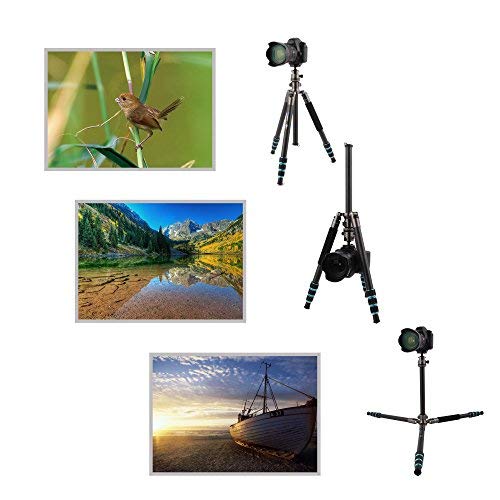 BONFOTO Carbon Fiber 57.6" B674C Lightweight Portable Compact Travel Tripod and Monopod with 360 Degree Ball Head + 1/4" Quick Release Plate + Carry Bag for Canon Nikon Sony DSLR Cameras