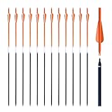 N/P Archery Carbon Arrow Hunting Targeting and