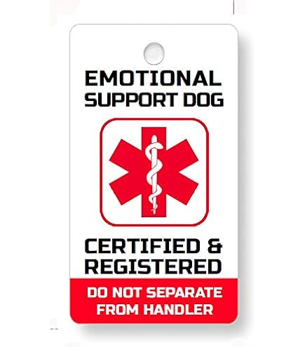 Dossard Securite ESA With ID Tag 50 ADA Information Cards Dog Vest - Main Image