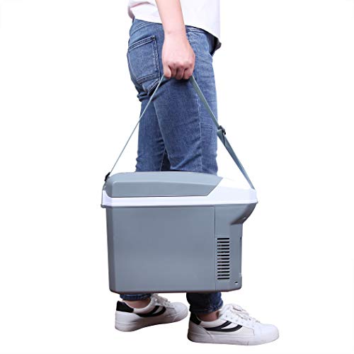 CARTMAN Thermoelectric Cooler and Warmer for Car (8 Liter) 12V DC