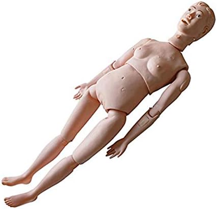 GHTTHJ Female Manikin Anatomical Human Model for Nursing Medical Training Teaching Education Supplies