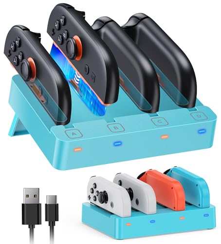 FYOUNG Controller Charger