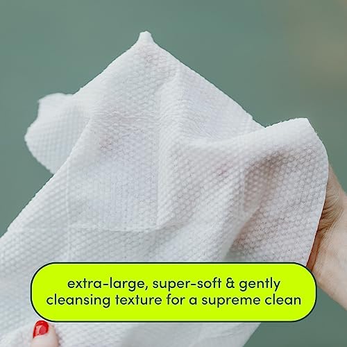 Goodwipes Body Wipes Really Big, All Over Wipes with Aloe Plant