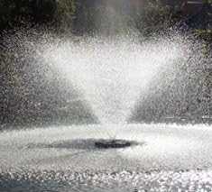 KascoAerating Fountain, 3 HP, 240V, 100-Ft. Cord, Model# 3.1JF100