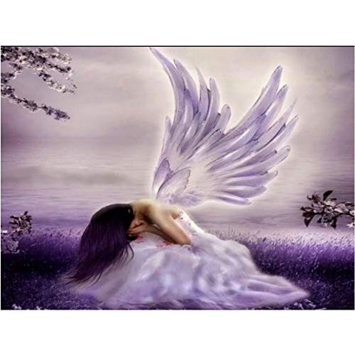 5D Diamond Painting, Fairy feilin Full Drill DIY 5D Diamond Rhinestone Crystal Painting Cross Stitch Kit Wall Art Decor Diamond Embroidery Painting by Number Kits (E, 35x25cm)