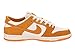 Nike Men's Sb Zoom Dunk Low Pro Circuit Orange/White Skate Shoe