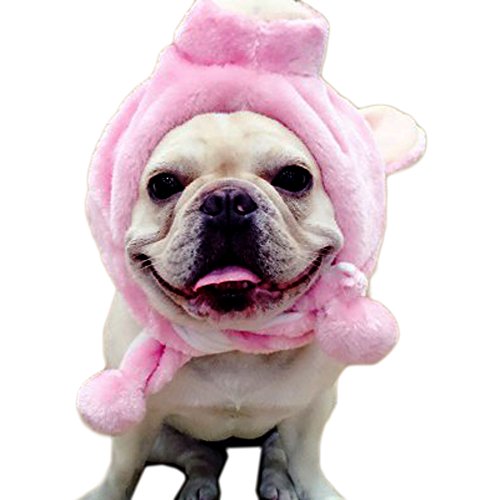 Alfie Pet by Petoga Couture - Tracy Pig Hat for Party Halloween Special Events Costume (for Small Dogs & Cats)