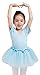 Dancina Girls Skirted Leotard Sparkle Short Sleeve Tutu Ballet Dress Front Lined
