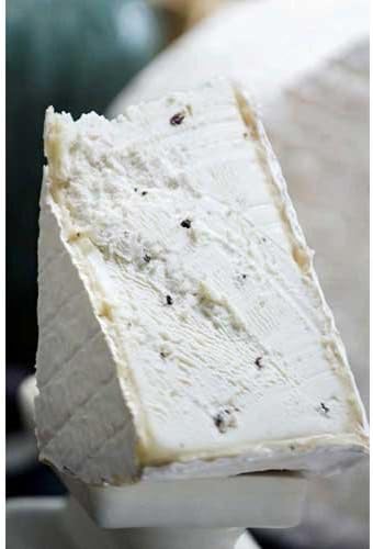 Cypress Grove Truffle Tremor Mini Goat Cheese, 1 Pound -- 2 per case.