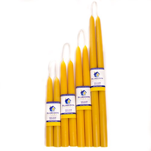 Bluecorn Beeswax 100% Pure Raw Beeswax Tapers 12" - Bulk (8 Tapers) Save $14