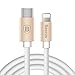 Type C to Lightning Cable,Baseus USB C 3.1 Male to Lightning (1M/3FT) Sync & Data Charging Cord Wire Line for iPhone 5s/ 6 6s plus/7 7 Plus / iPad / New MacBook / Chromebook Pixel / HP Pavilion,Gold
