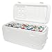 Igloo Quick and Cool 100 Qt. Cooler